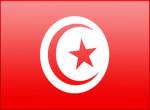 Рабочая виза в Тунис